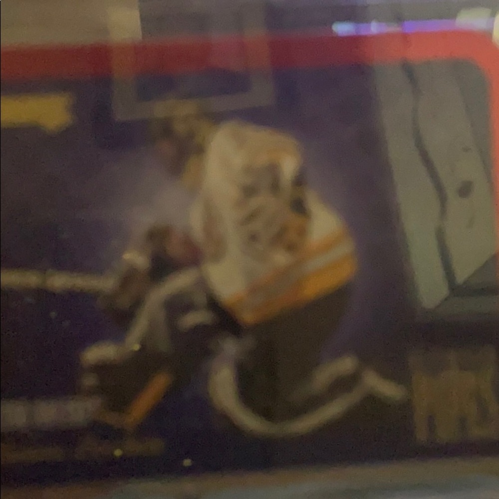 Boston Bruins
